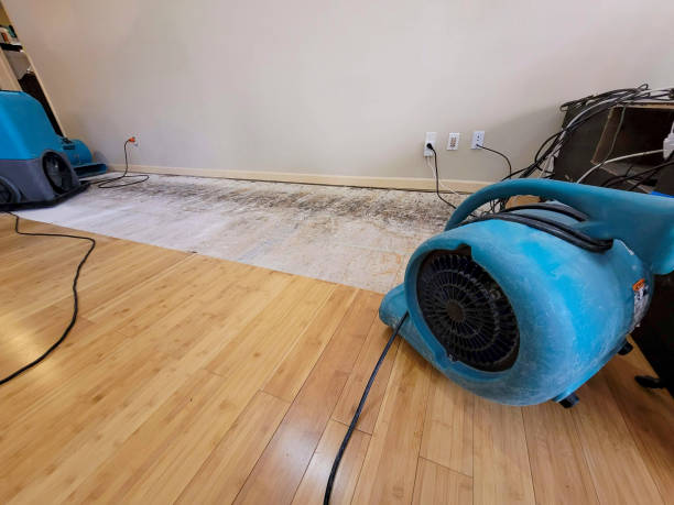 Professional Structural Drying technician working in Lilburn, GA